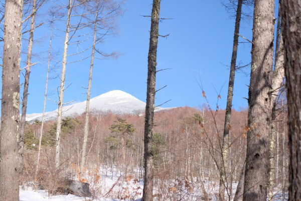 八ヶ岳ブルーと編笠山